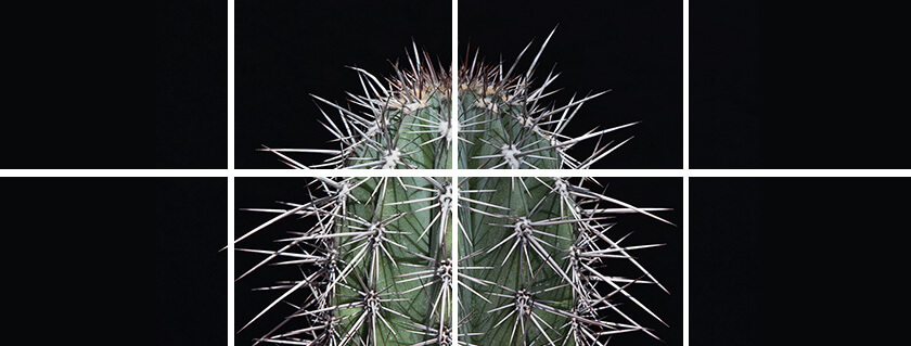 Erstellung Einer Landingpage: 4 Wichtige Schritte Pain points