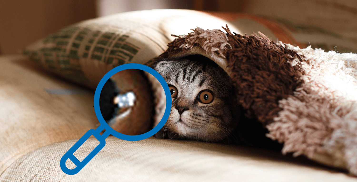 Newsletter Artefakte