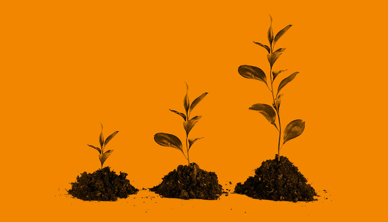 Wie Sie Ihren Content Charmant In Newslettern Bewerben Content seeding